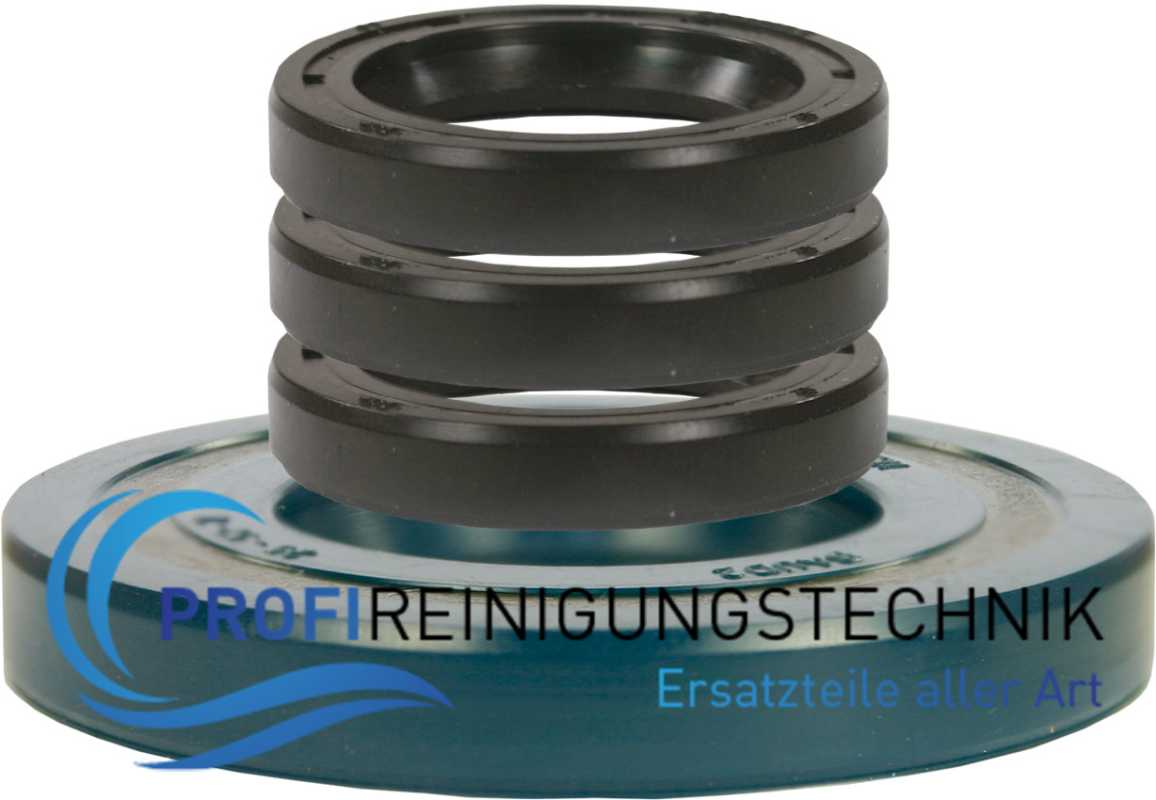 Öldichtungssatz ( 7-teilig) für Comet Motorpumpenkombination